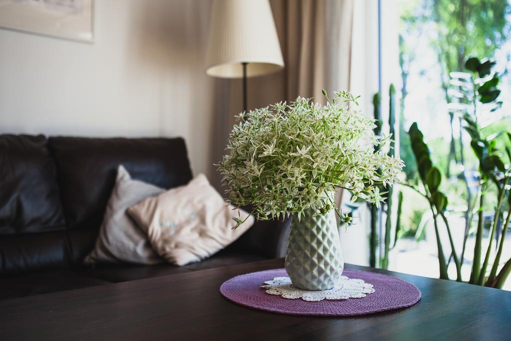 Saka Vacation House Druskininkai Eksteriør bilde