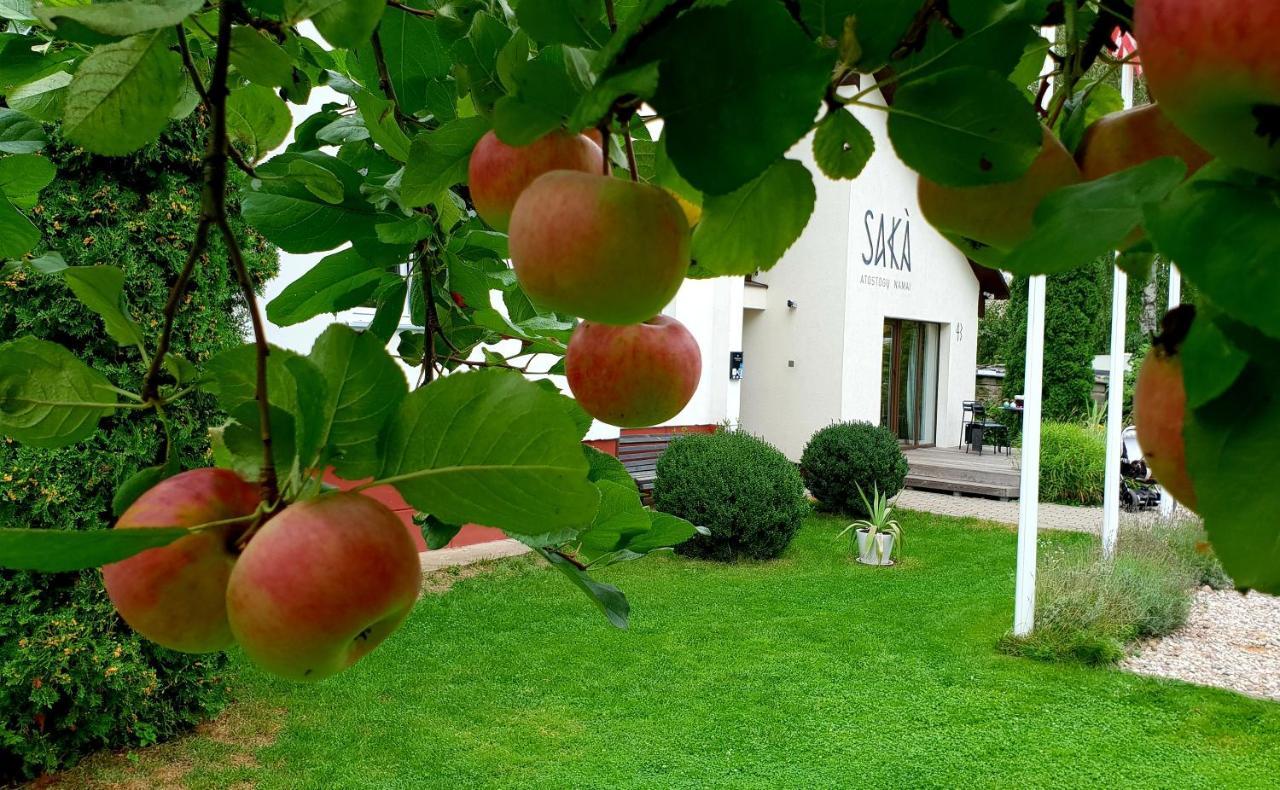 Saka Vacation House Druskininkai Eksteriør bilde